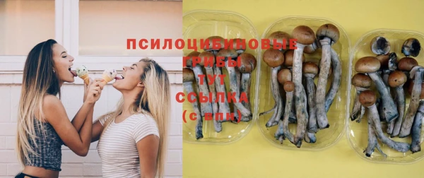 а пвп мука Абдулино